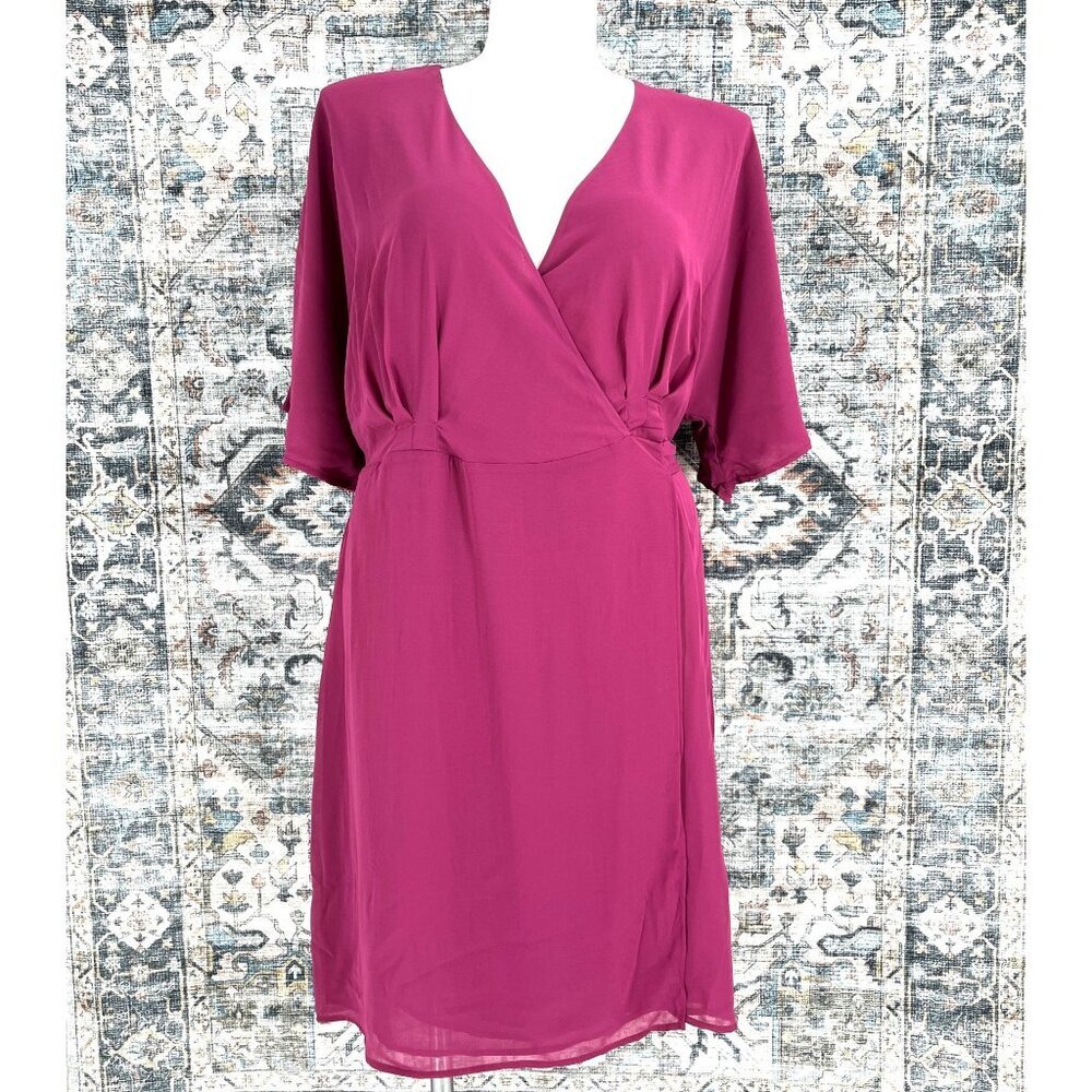 STANDARDS & PRACTICES Candice Georgette Wrap DressSize 1X  In Rose